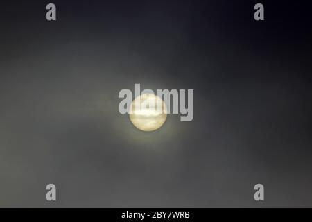 Sonne scheint durch Nebel an einem Frühlingsmorgen Stockfoto