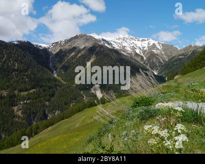 schweizer Bergpanorama Stockfoto