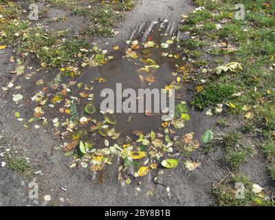 Foto einer Pfütze auf unbefestigten Straßen Stockfoto