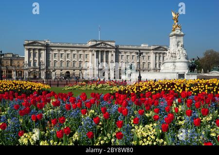 Buckingham Palace und Queen Victoria Memorial mit Spring Tulips, London, England, Großbritannien