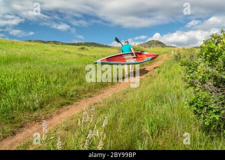 Ältere männliche Paddler trägt ein langes Renn Stand Up Paddleboard (SUP) bergauf auf auf einem Trail im Frühsommer - Lory State Park, Colorado Stockfoto