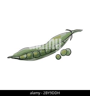 Erbsen-Ikone in flacher Form. Isoliertes Objekt. Erbsen-Logo. Gemüse aus dem Garten. Bio-Lebensmittel. Vektorgrafik Stock Vektor