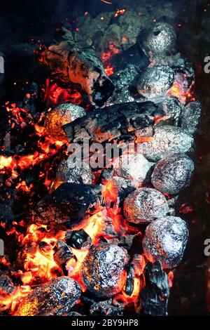 Wanderessen. Fleischstücke werden in Folie auf roten Kohlen gebacken Stockfoto