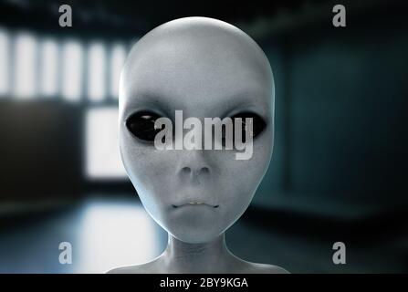 Alien Kopf. Nahaufnahme. UFO-Konzept. 3d-Rendering. Stockfoto