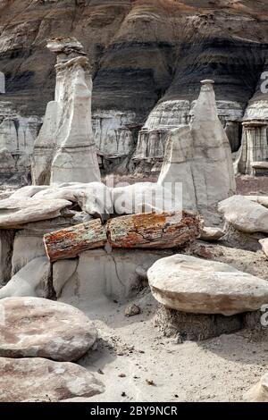 NM00573-00...NEW MEXICO - Formationen mit versteinertem Holz in der Wildnis der Bisti (Bisti/De-Na-Zin), Teil der Navajo Nation. Stockfoto