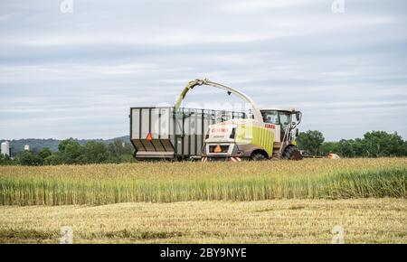 Lancaster County, Pennsylvania-June 2, 2020: Mähdrescher in Feld Ernte Frühjahr Ernte. Stockfoto