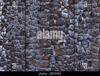 Verbranntes rissene Holzstruktur 2 Stockfoto