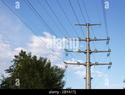 Grashalme in der Sonne Stockfoto