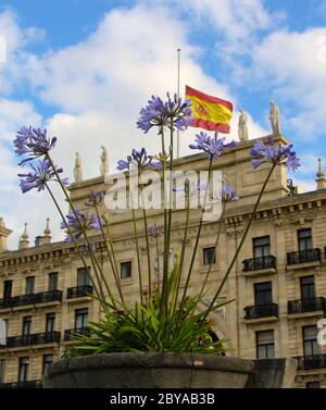 Ursprüngliches Hauptgebäude der Santander Bank Banco de Santander spanische Nationalflagge am Halbmast, gesehen durch Agapanthus africanus, blüht Spanien Stockfoto