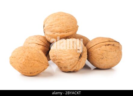 Walnüsse Stockfoto