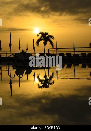 Palme silhouettiert gegen die untergehende Sonne mit Reflexion im stillen Wasser eines Schwimmbades. Keine Personen, Platz für Kopie. Stockfoto