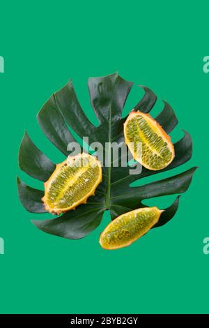 Monstera leafe und kiwano kiwan kivano Melone Früchte isoliert auf grünem Hintergrund. Stockfoto