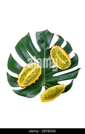 Monstera leafe und kiwano kiwan kivano Melone Früchte isoliert auf grünem Hintergrund. Stockfoto