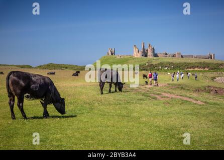 Dunstanburgh Castle aus dem Süden Stockfoto