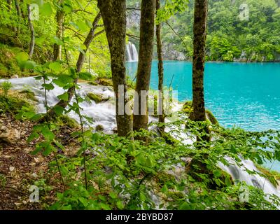 Plitvicer Seen intensiv lebhaft Grünwald im Frühjahr in Kroatien Europa leer Wasserfall Fluss Fluss Fluss Fluss Fluss lange Exposition