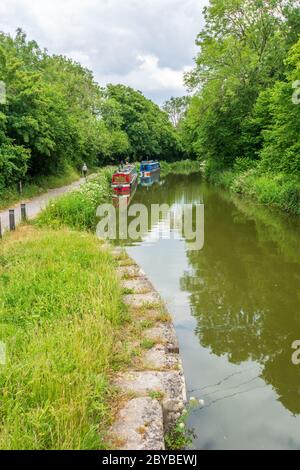 Schmalboote und Zehenpfad des Kennet & Avon Canal in Bradford-on-Avon, Wiltshire, Großbritannien Stockfoto