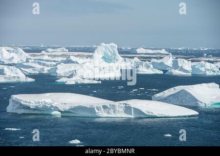 Der Eisberg-Friedhof in der Pleneau Bay, Port Charcot Antarktis. Stockfoto