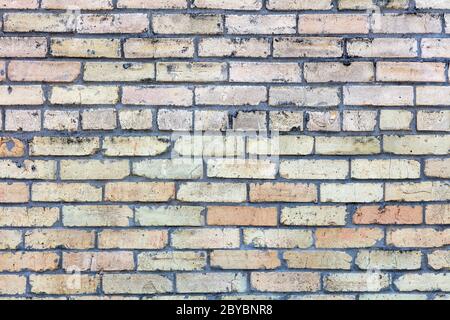 Ziegelwand, von James D Coppinger/Dembinsky Photo Assoc Stockfoto