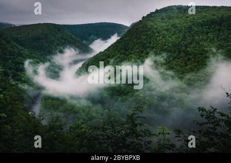 Der Grand Canyon von Pennsylvania ist eine 47 Meilen (76 km) lange Schlucht, die von Pine Creek geformt wurde. Der tiefste Punkt ist 1,450 m (440 Fuß). Pine Creek Gorge, Pennsylva Stockfoto