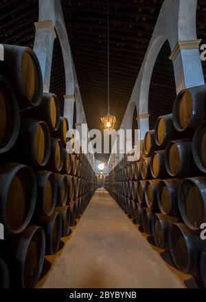 Sherry-Fässer in Jerez Bodega, Spanien Stockfoto