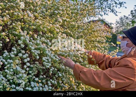 Eine Dame, die mit einer Schutzmaske auf einem Spaziergang ausgestattet ist. Sie mag buschige Blumen und kann ihr nicht widerstehen. Stockfoto