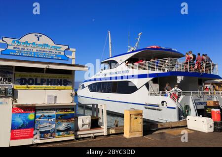 Small Boat Harbour, Lahaina, Maui, Hawaii, USA Stockfoto