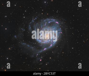 Messier 101 (NGC 5457) ist ein Gesicht auf einer Spiralgalaxie, die 21.8 Millionen Lichtjahre entfernt im Sternbild Ursa Major liegt. Stockfoto