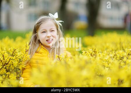 Liebenswert kleines Mädchen in blühenden Forsythia Büsche am schönen Frühlingstag. Niedliches Kind, das die Natur im Frühling erkundet. Stockfoto