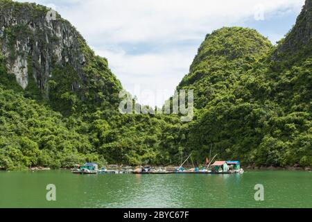 Schwimmenden Fischerdorf in ha lange Bucht Stockfoto