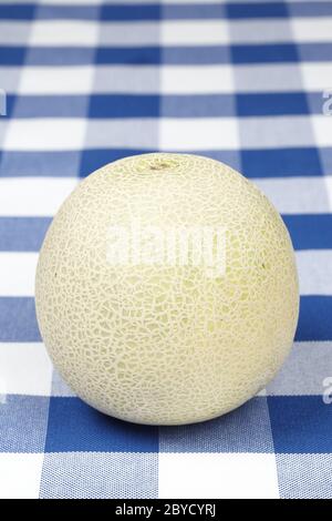 Melone auf einer karierten Tischdecke Stockfoto