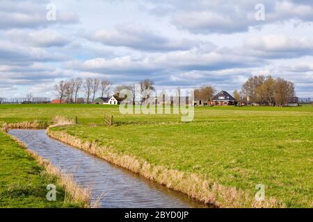 Typisch holländisches Ackerland mit Kanal Stockfoto