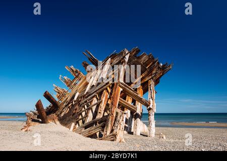 Das Schiffswrack von Pesuta in Haida Gwaii, British Columbia Stockfoto