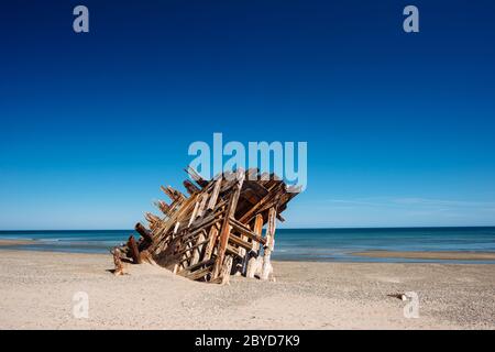 Das Schiffswrack von Pesuta in Haida Gwaii, British Columbia Stockfoto