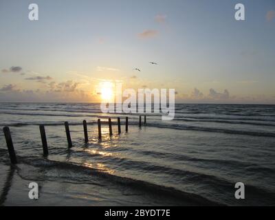 Sonnenaufgang spiegelt sich im Wasser, auf dem Sand, Packery Channel Jetty Beach, Padre Island, Texas, Konzept für Kalender, Paradies, Urlaubsziel Stockfoto