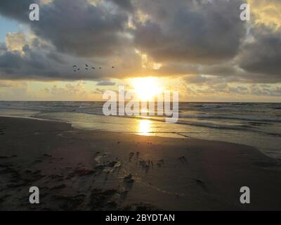 Der Sonnenaufgang spiegelt sich im Wasser und Sand am Strand von Packery Channel Jetty, Padre Island, Texas Stockfoto