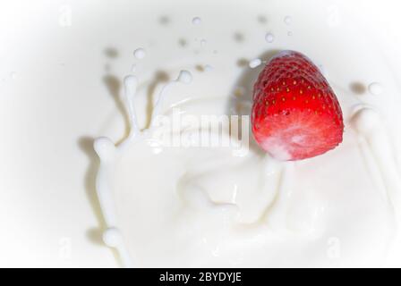 Die Erdbeere fällt in Milch Stockfoto