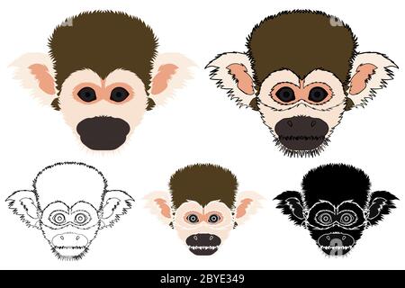 Eichhörnchen Affe in der Ansicht Stock Vektor