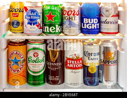 Calgary, Alberta, Kanada. Juni 2020. Ein Bierkühlschrank mit weltberühmten Biermarken auf einem Minikühlschrank. Stockfoto