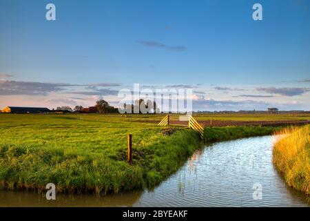 Typisch holländisches Ackerland mit Kanälen Stockfoto