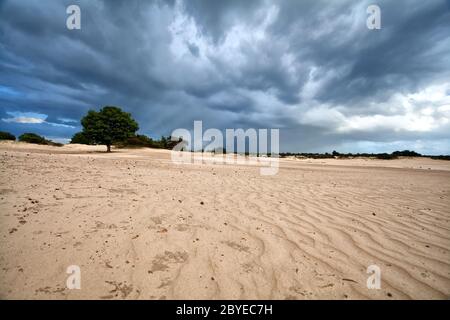 Dunkle stürmische Wolken über Sanddünen Stockfoto