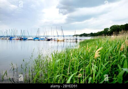 Mardorf, Deutschland. Juni 2020. Segelboote liegen an einem Steg am Nordufer des Steinhuder Meeres, während dunkle Wolken über den See ziehen. Kredit: Hauke-Christian Dittrich/dpa/Alamy Live News Stockfoto