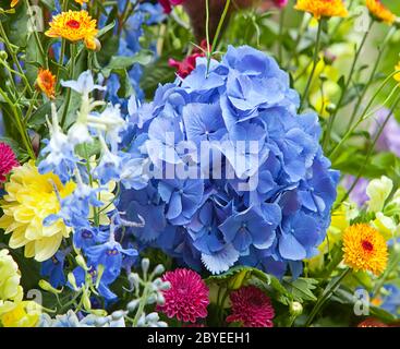 Hellen mehrfarbigen Strauß gemacht verschiedene Blume Stockfoto