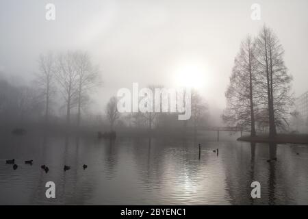 Baum Silhouette, Brücke und See im Nebel Stockfoto