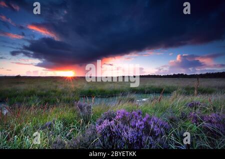 Sonnenuntergang Sonnenstrahlen über Sumpf mit Heidekraut Stockfoto