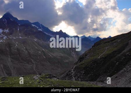 Steinbock - Ochsental - Silvretta Stockfoto