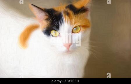 Eine Calico Katze mit grünen Augen schaut direkt auf die Kamera Stockfoto