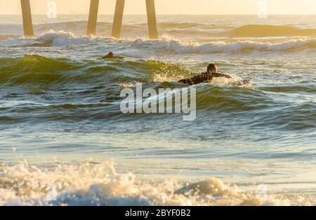 Florida Surfer paddeln für eine Sonnenaufgangssurf Session am Jacksonville Beach, Florida. (USA) Stockfoto