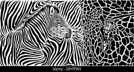 Tierhintergrund mit Zebra und Giraffe Motiv Stock Vektor