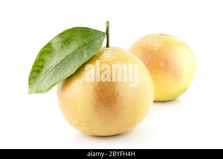 Reife appetitlich grapefruit Stockfoto