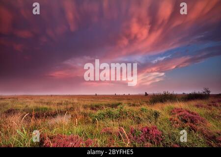 mammut Wolken über Sumpf während dramatischen Sonnenuntergang Stockfoto